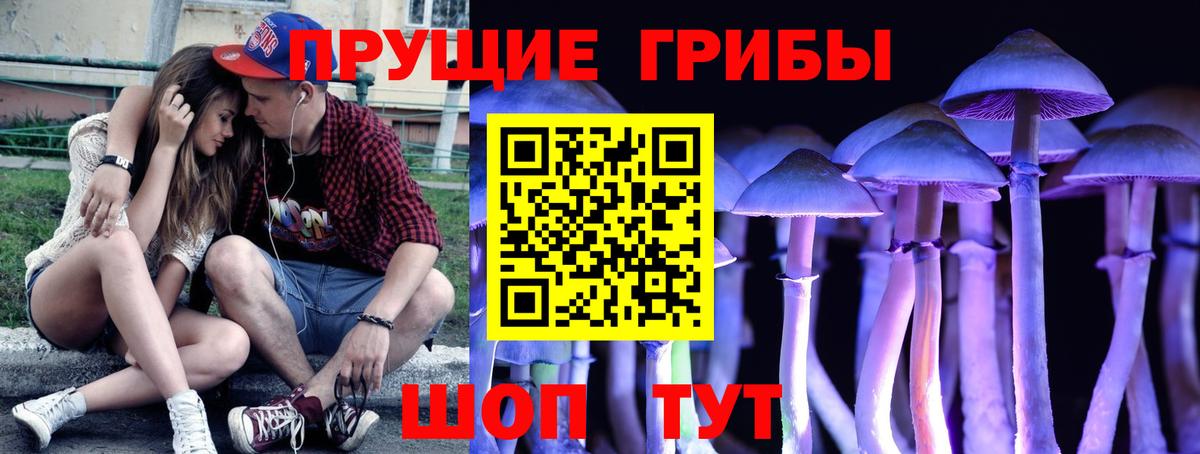 Галлюциногенные грибы Psilocybine cubensis  закладки  Королёв  Вход с VPN 